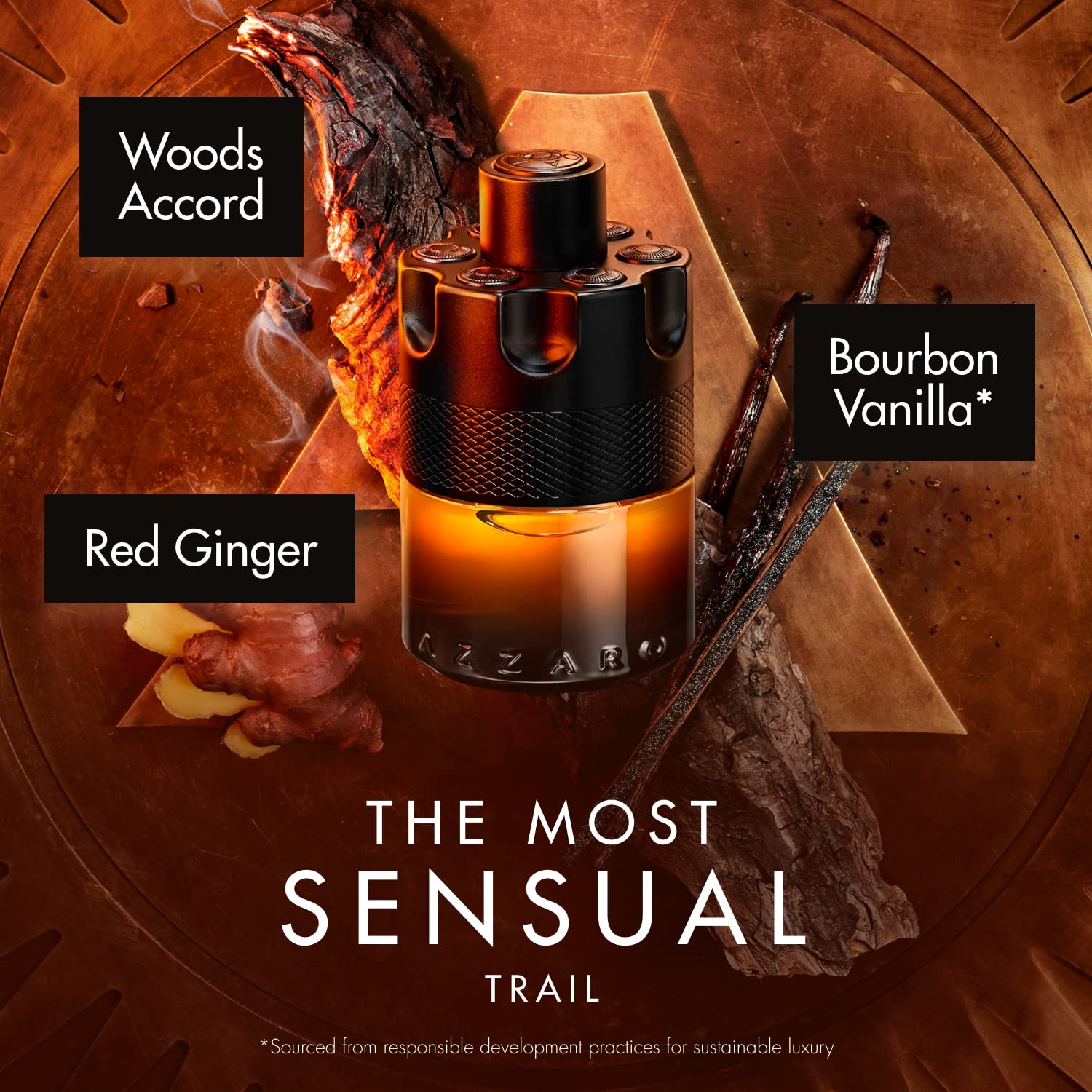 Azzaro The Most Wanted Cologne The Most Wanted Parfum Intense Mens Cologne Spicy, Seductive Fragrance FRAGGISH